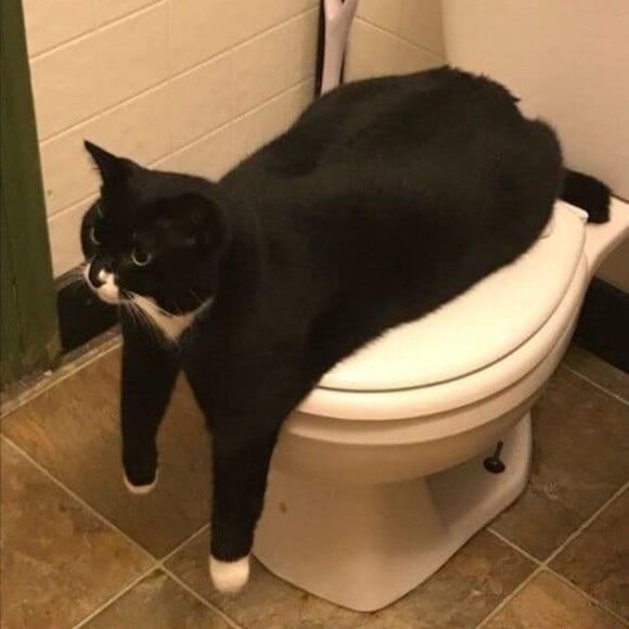 SMILE for the DAY!!! - Picture 9 of 12